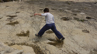 Bloomefiemel volgt een theropode
