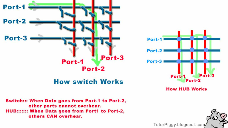 Welcome to Tutor PIGGY.blogspot.com: LAN and Network Devices Interview