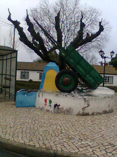 [Img021.jpg]