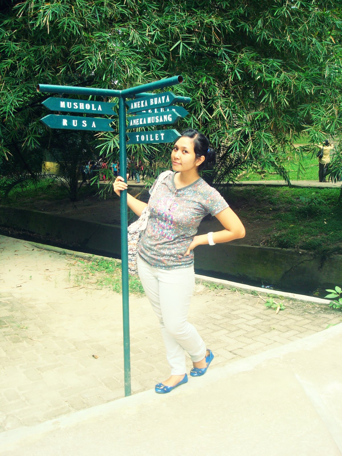 [DSC06804.JPG]