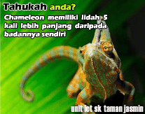 Tahukah Anda 4