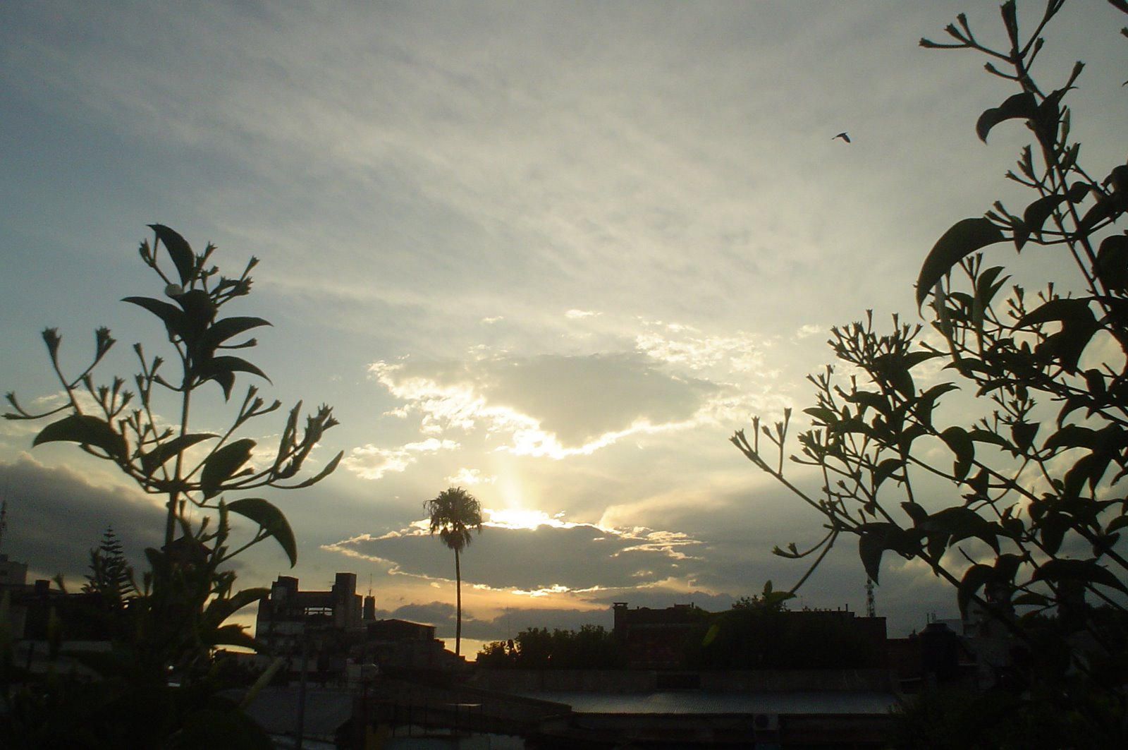 [DSC02762.JPG]