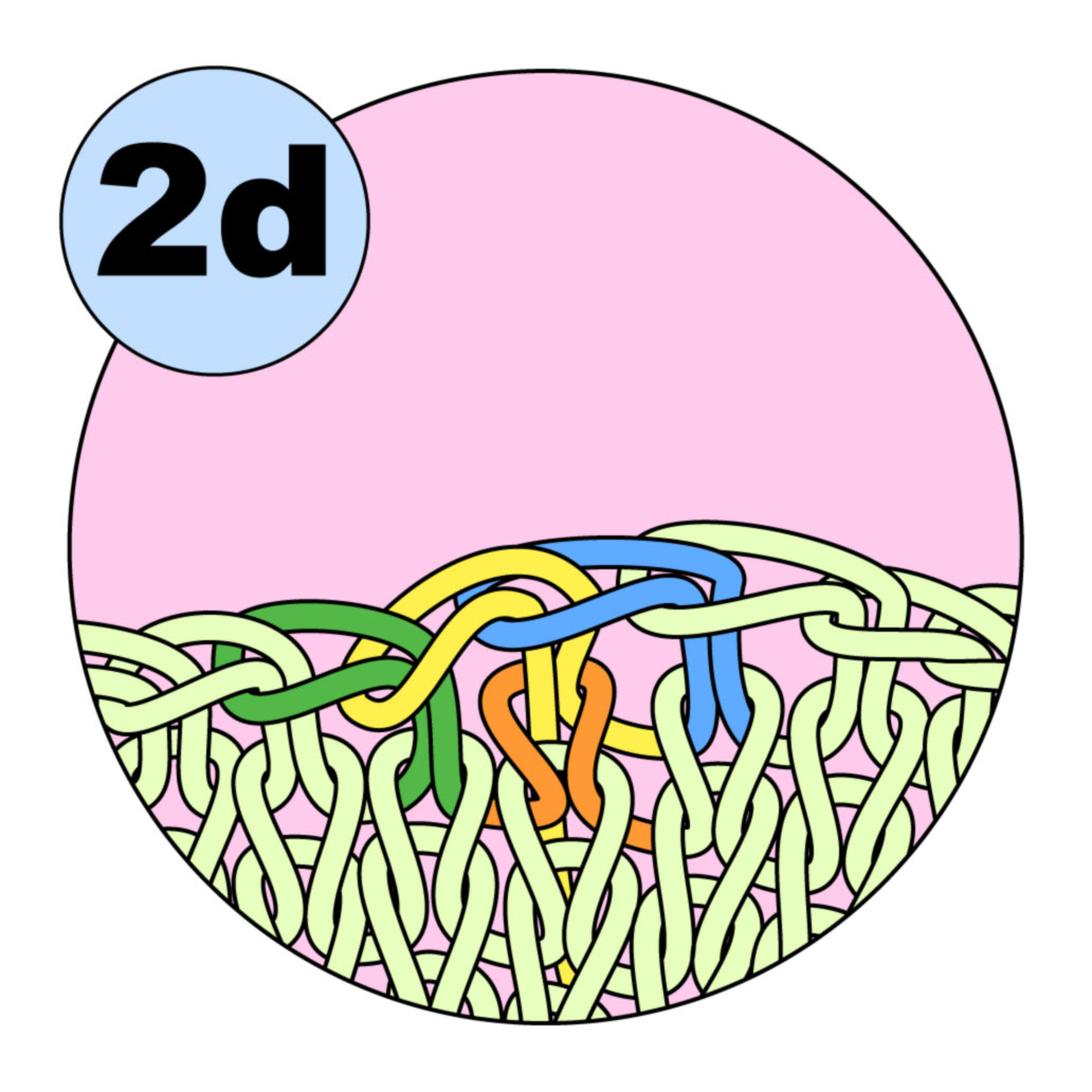 [boCIRCULAR2-d.jpg]