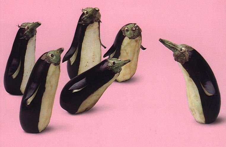 [pinguin.bmp]
