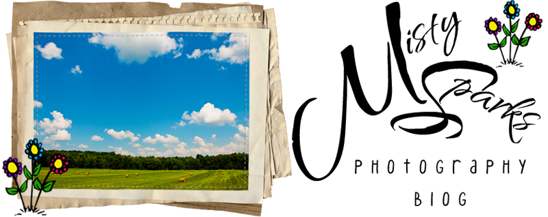 Misty Sparks • {Photography Blog} • Kentucky
