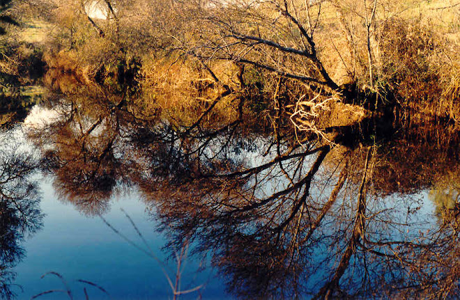 Rio Álamo - Herdade das Pipas