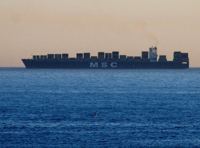 "MSC SUSANNA"