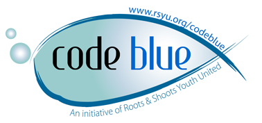 [codebluelogo.png]
