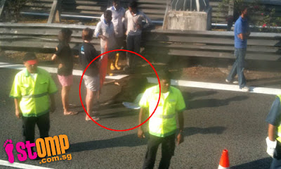 Singapore  Incident Pictures on However The Vehicle That Knocked Down The Animal Had Left The Scene