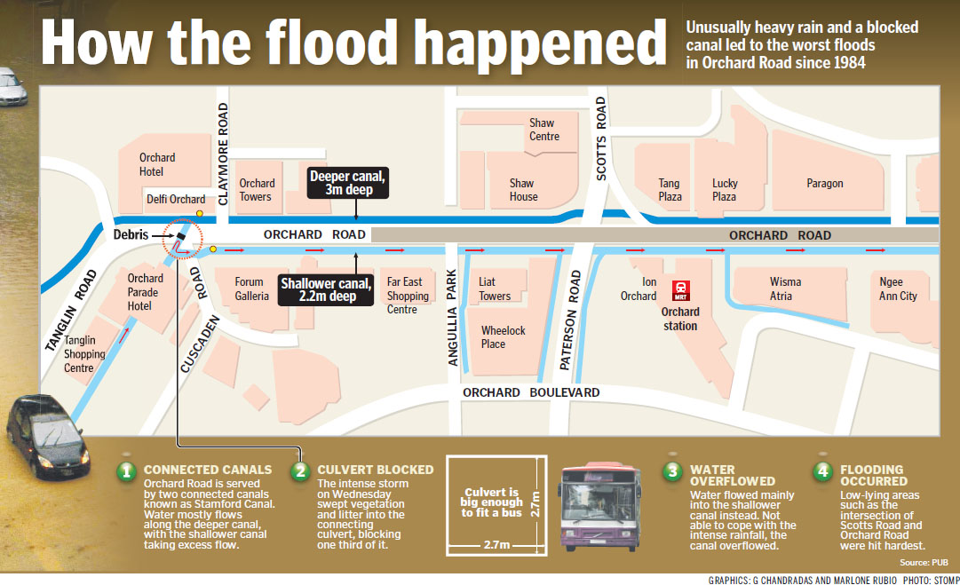 wildsingapore news: Blocked drain blamed for Orchard Road flood