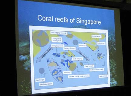 National biodiversity strategy and action plan singapore