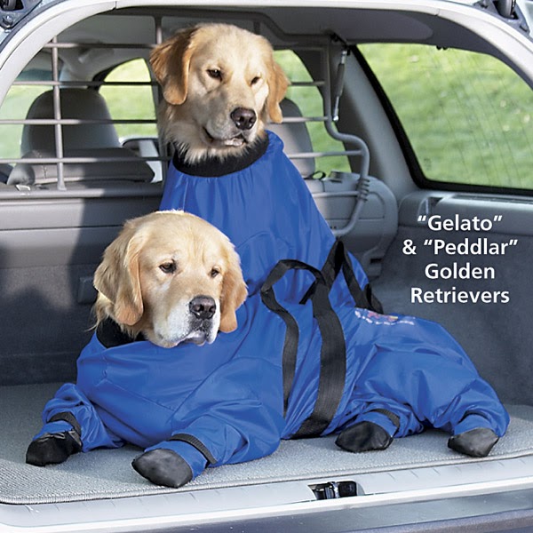 Poodlebugs Doggie Strait Jacket?