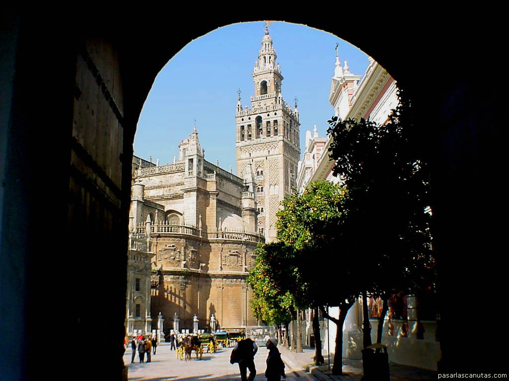 Billet d�entrée pour l�aquarium de séville Spanish Is Way Cool: Sevilla