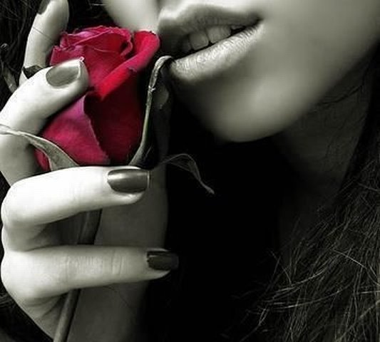 [blog2.bmp]