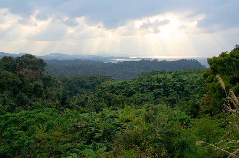 festival and nature care essay festival and nature care essay