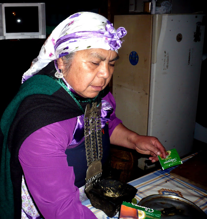 CULTURA MAPUCHE 7. MADRE MAPUCHE EN LA COCINA