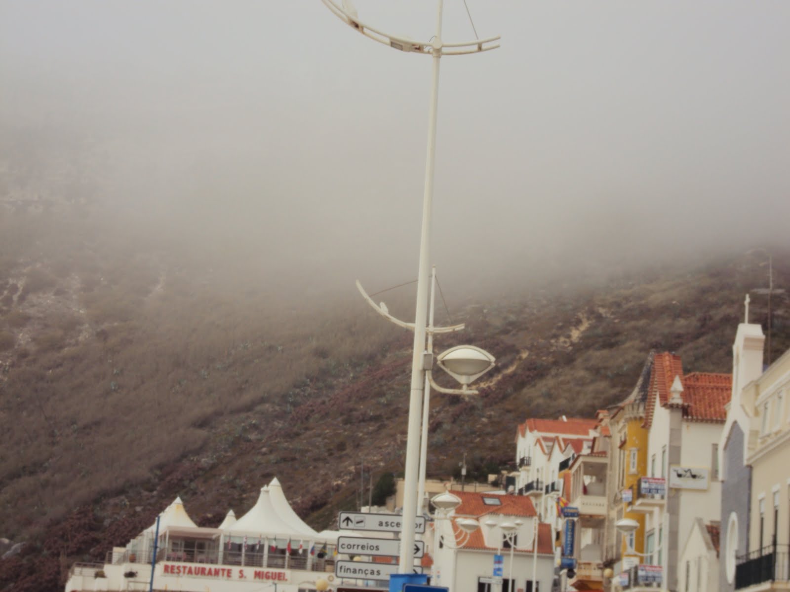 [DSC00157.JPG]