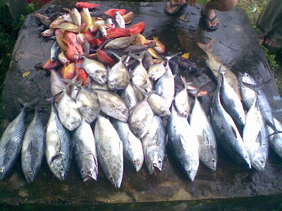 Trip Tahunan Binuangen 14-15 Feb 09