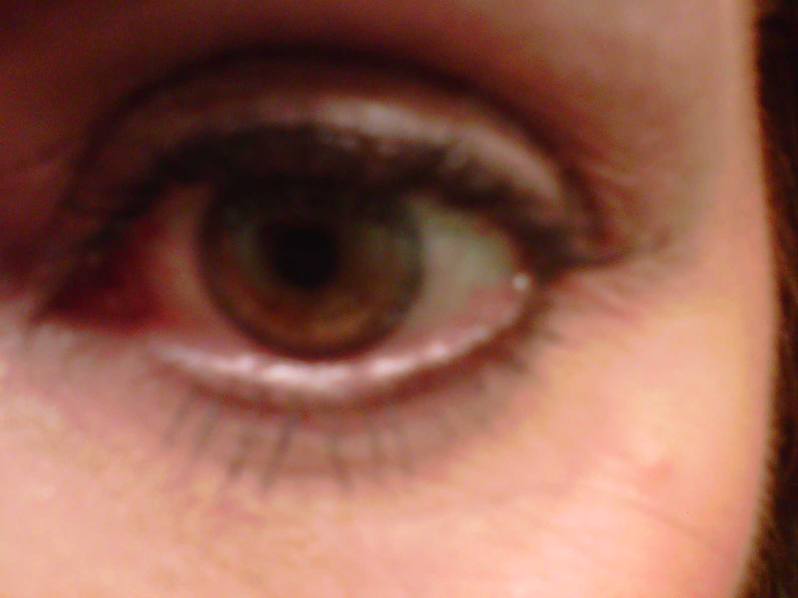 DivaDebra Lash Dip Would You Take The Plunge?