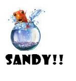 sandy fish