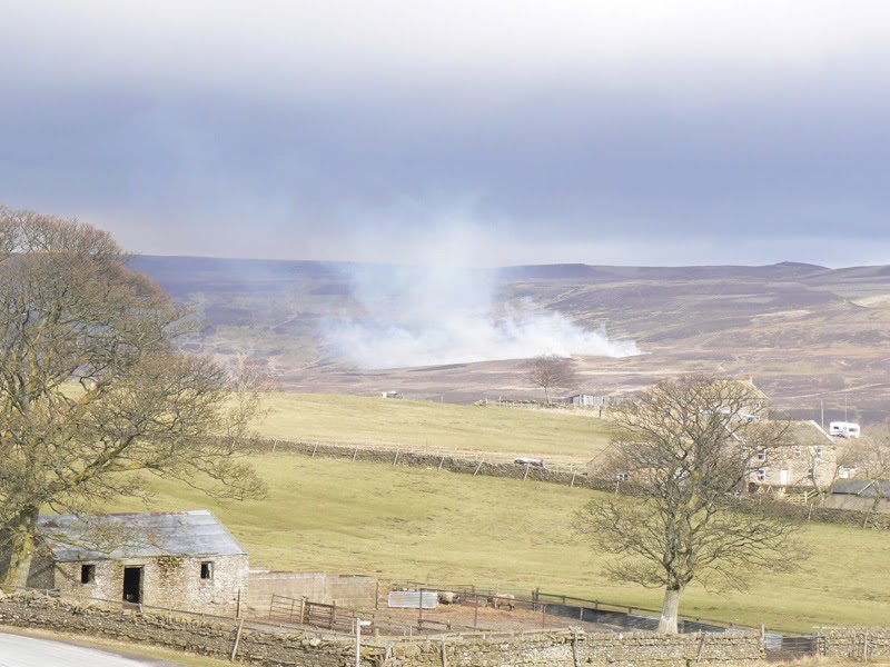 Moor Dog Training Stoke On Trent Moor Dog Training Stoke On Trent