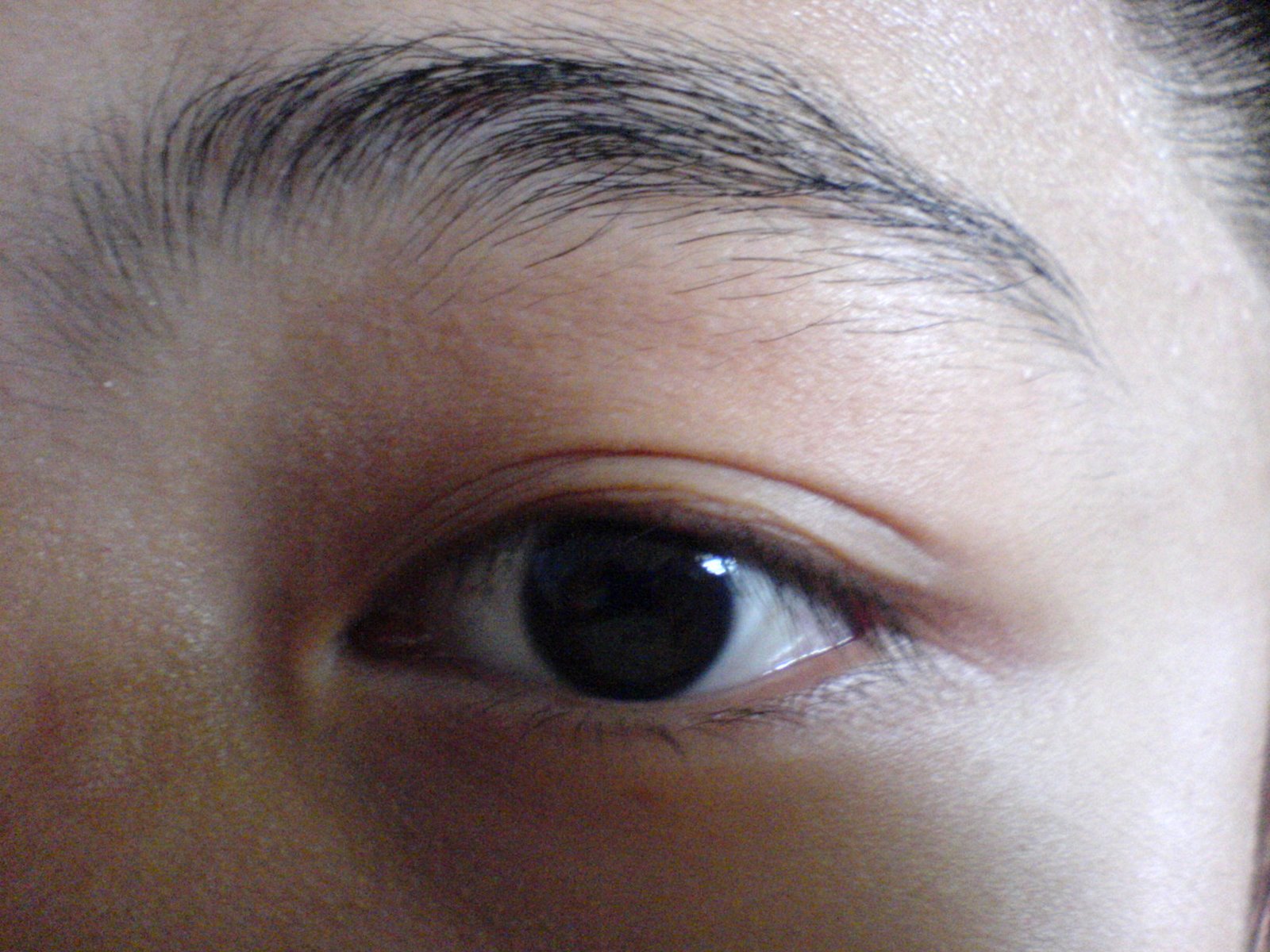 [eye.JPG]