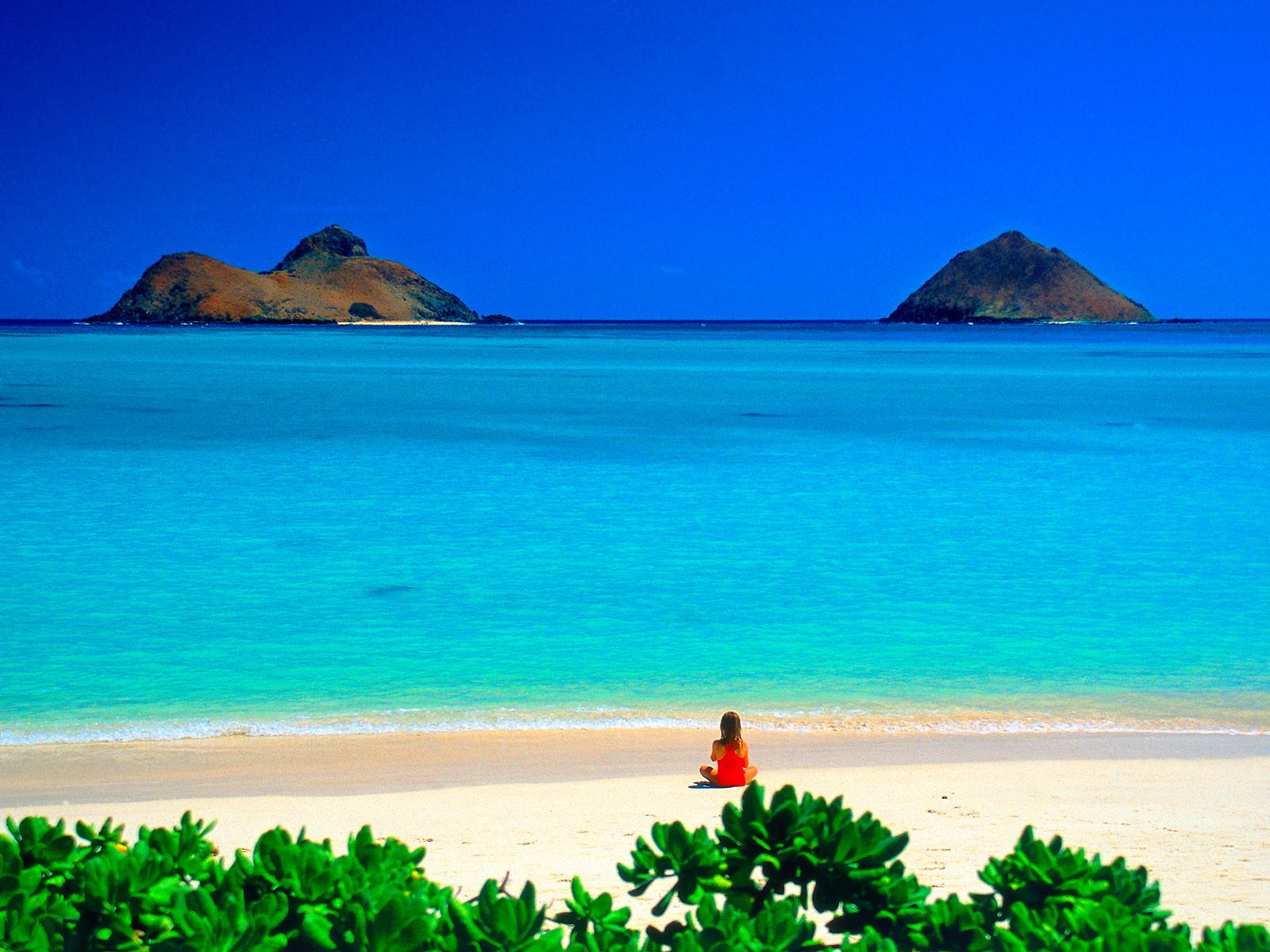Hawaii 常夏 海 ハワイの美しい壁紙 風景 自然 Naver まとめ