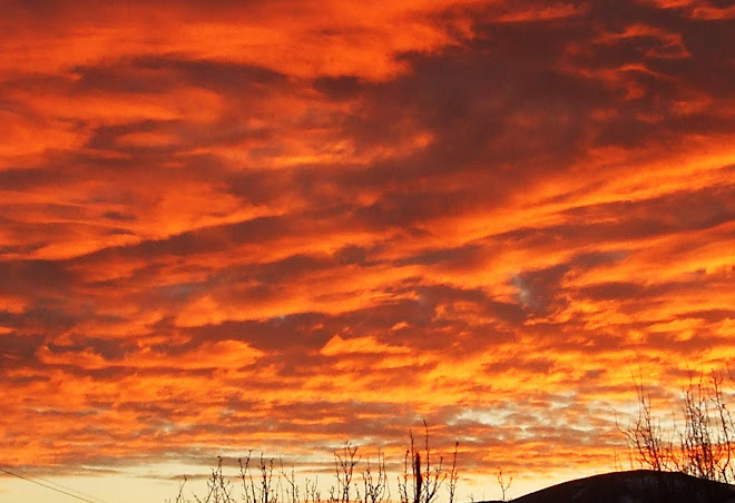 Nevada Sunset