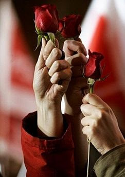 Rosas Rojas por el Socialismo