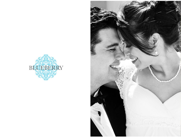 foster city wedding photographer