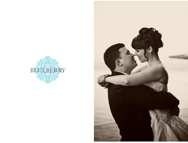 wine country wedding photographer