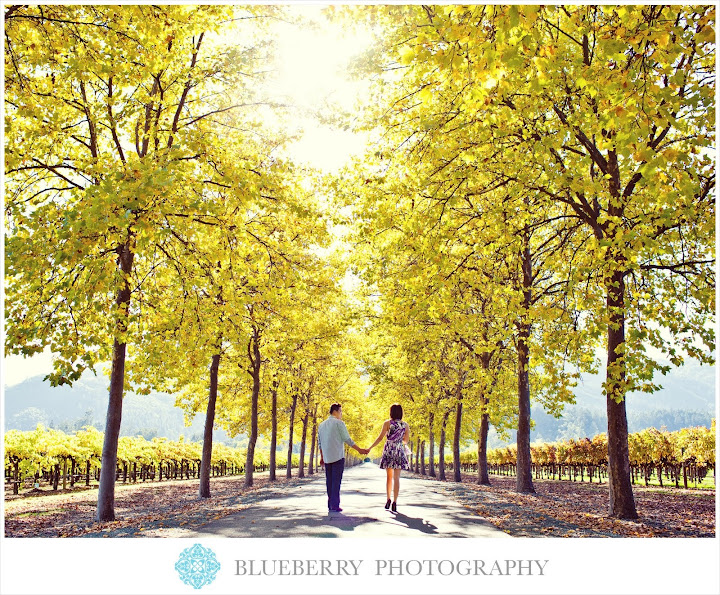 napa wine country engagement session