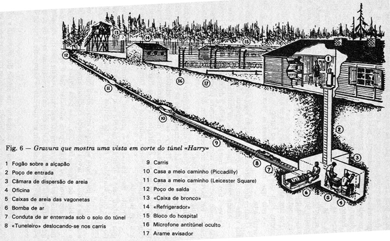 [fig-6.jpg]