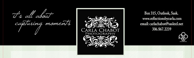 Carla Chabot Photography