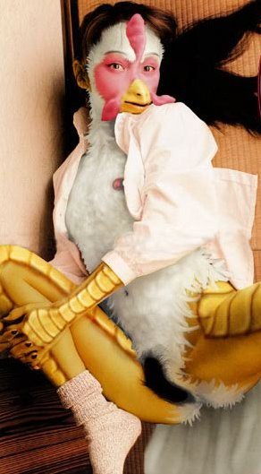 pollo.bmp