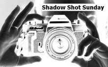 shadow shot sunday