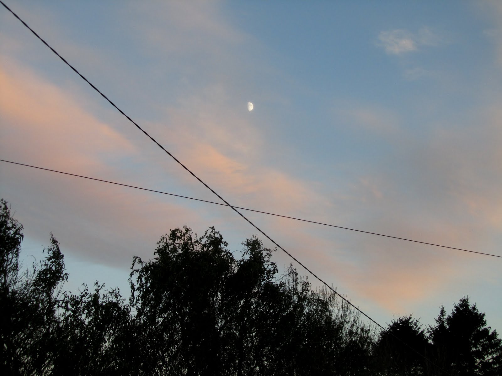 moon line