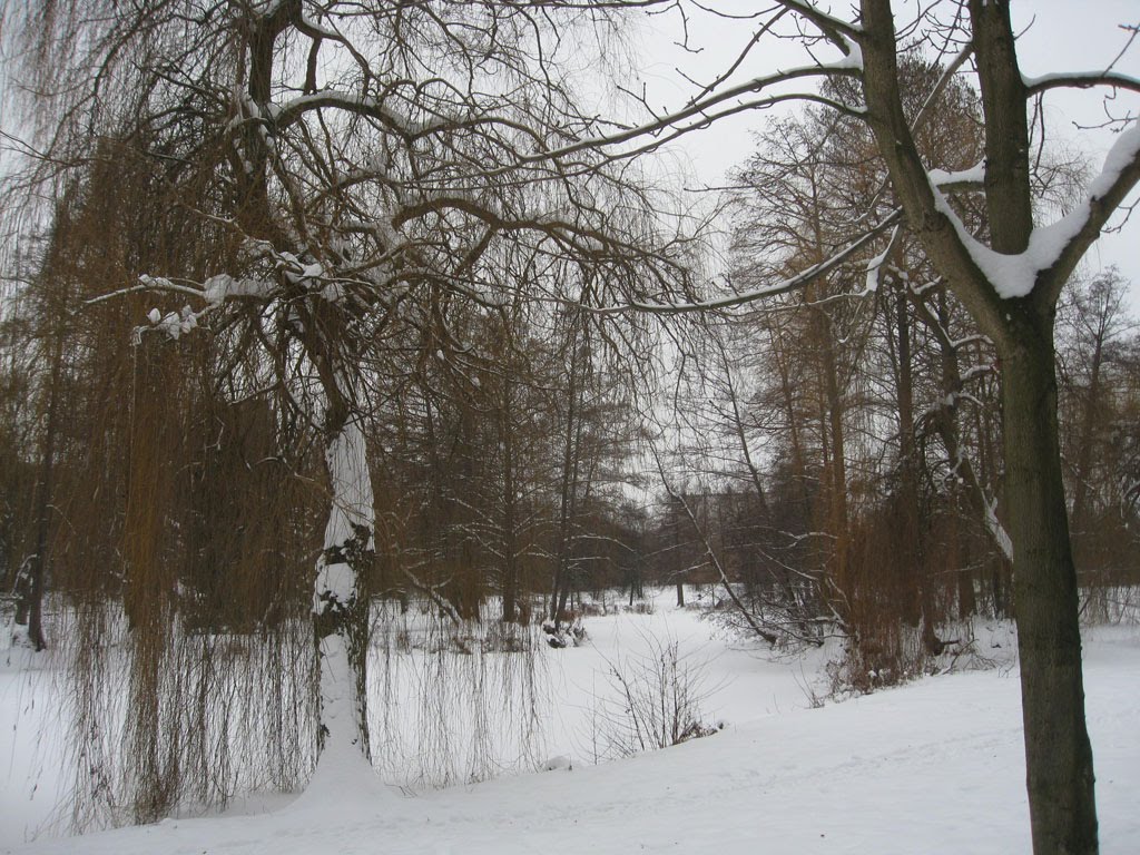[IMG_8652.JPG]