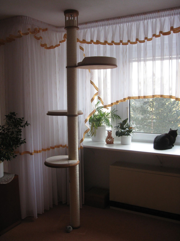 [IMG_8782.JPG]