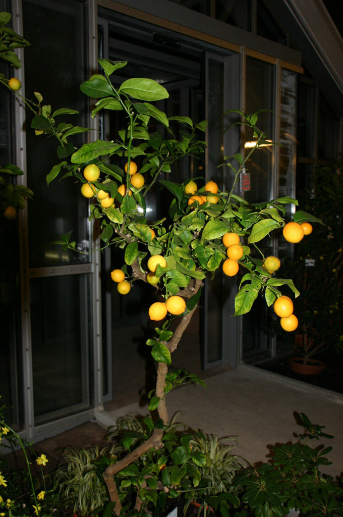 [IMG_8637.JPG]