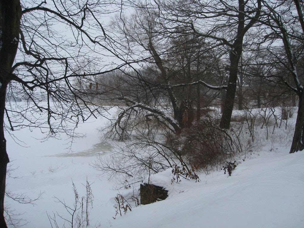 [IMG_8906.JPG]