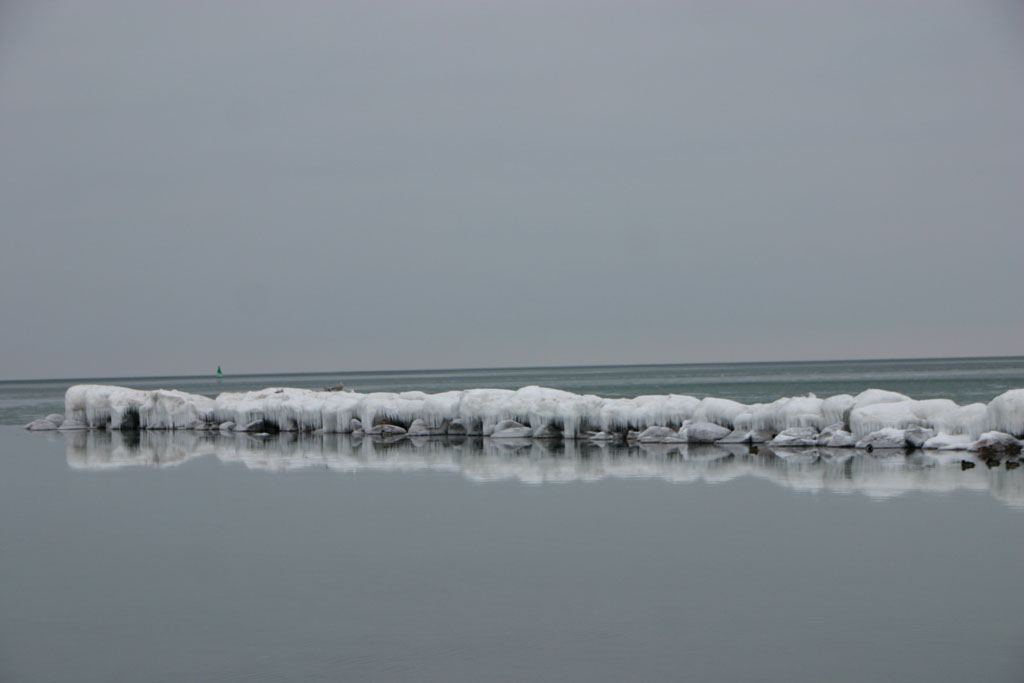 [IMG_8699.JPG]