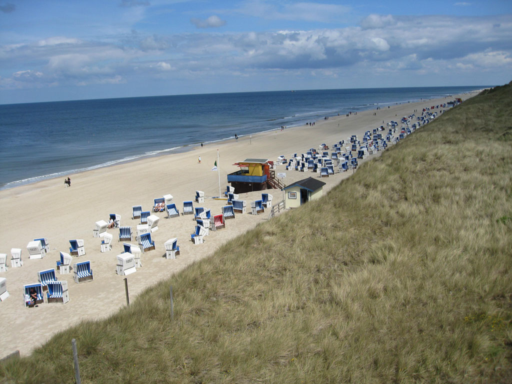 [IMG_8196.JPG]