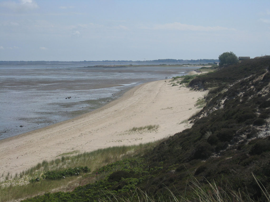 [IMG_8532.JPG]