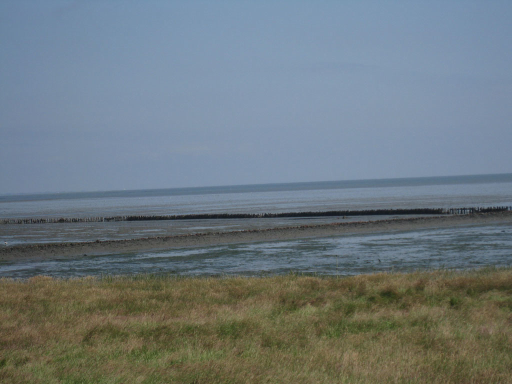 [IMG_8474.JPG]