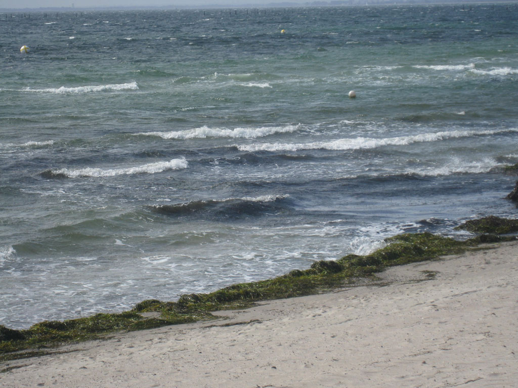 [IMG_9426.JPG]