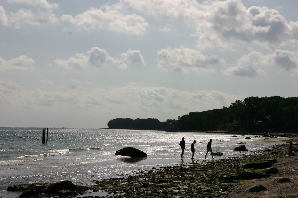 [IMG_7942.JPG]