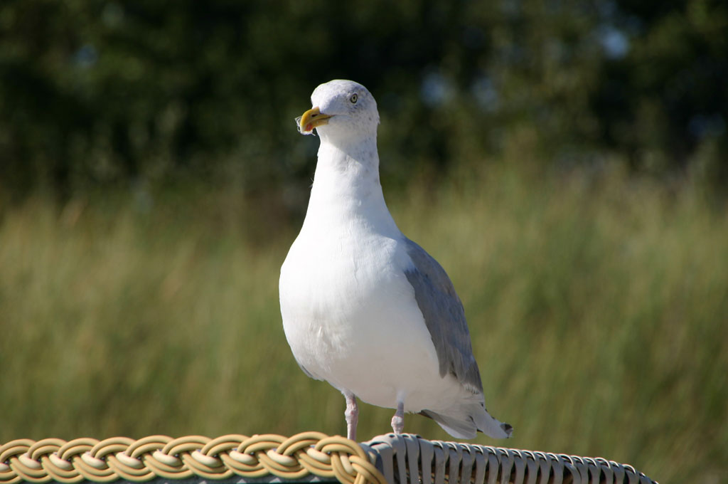 [IMG_7867.JPG]