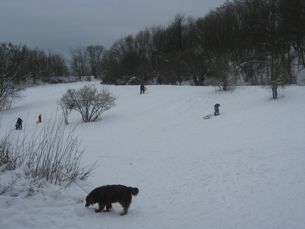 [IMG_1059.JPG]