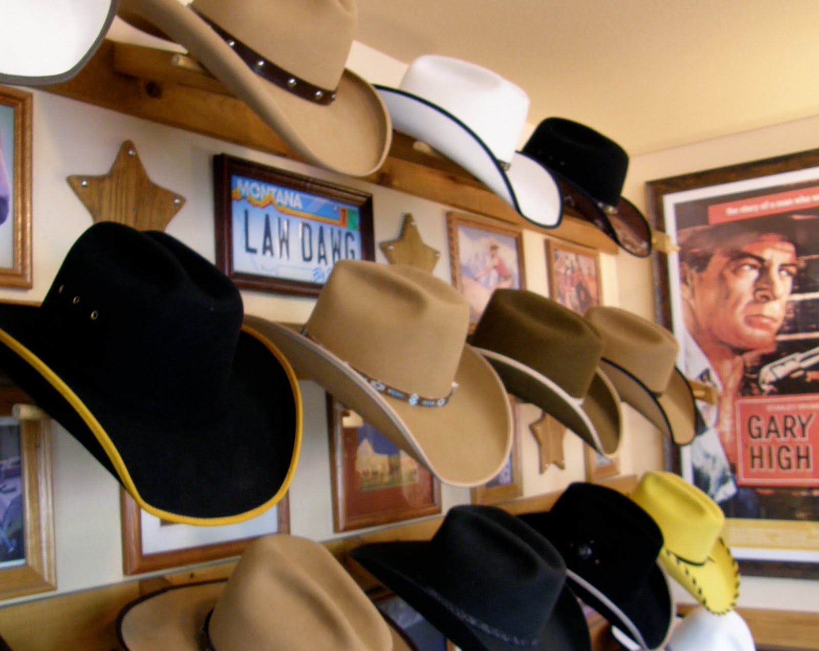 Muellerstuff A History of the Rest of my Declining Years Billings Has